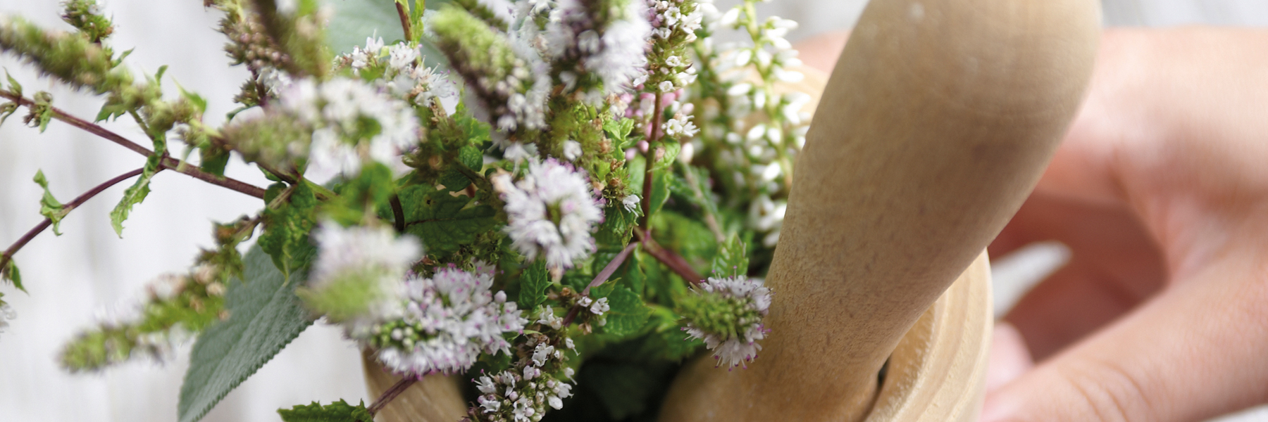 Massage und Kosmetik im blüte.zeit.SPA