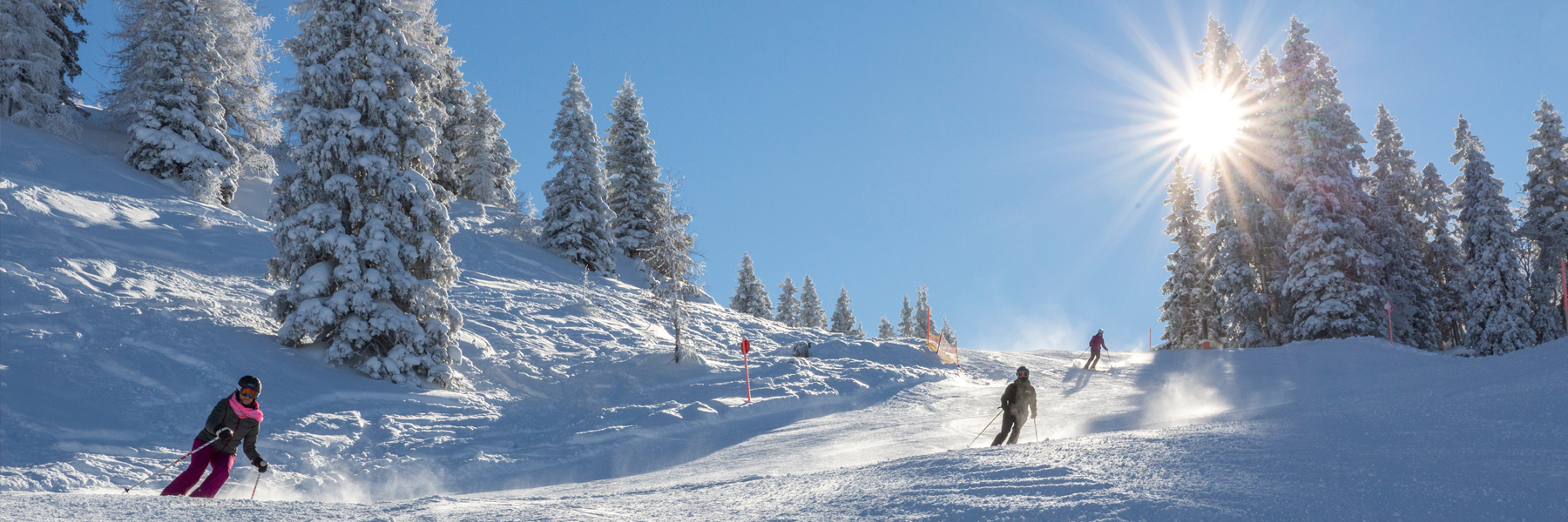 Ski & Snowboard