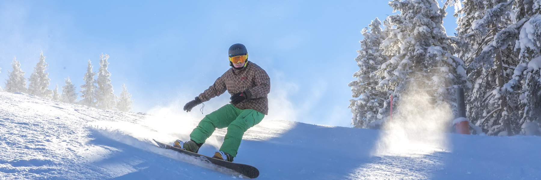 Ski & Snowboard