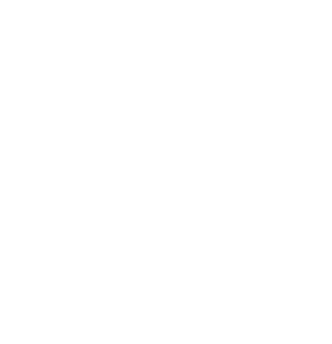 Waidringerhof