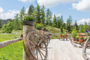 Stallenalm Hüttenzauber