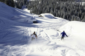 Ski Snowboard Steinplatte