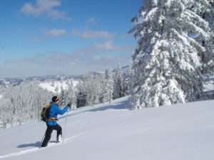 Winterwandern Waidring