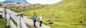 Wandern im PillerseeTal